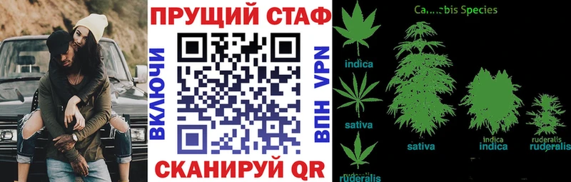 Где купить наркоту Берёзовка АМФ  Меф мяу мяу  ГАШИШ  Конопля  КОКАИН  А ПВП 