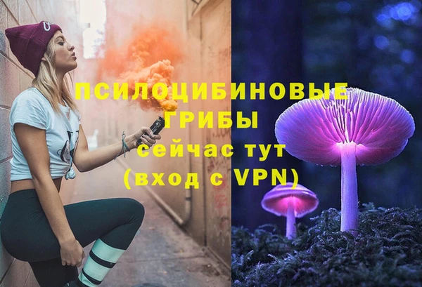 дурь Алзамай