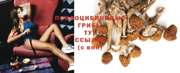 дурь Алзамай