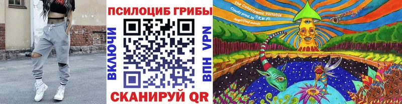 Псилоцибиновые грибы MAGIC MUSHROOMS купить наркотики цена маркетплейс наркотические препараты Берёзовка